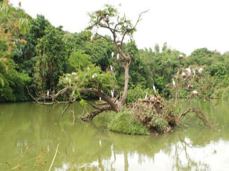Ecoparque Las Garzas