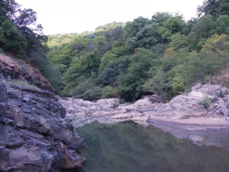 Río Quebradaseca – criaderos piscícolas